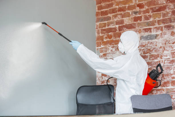 Best Mold Documentation for Insurance Claims  in Mallory, WV