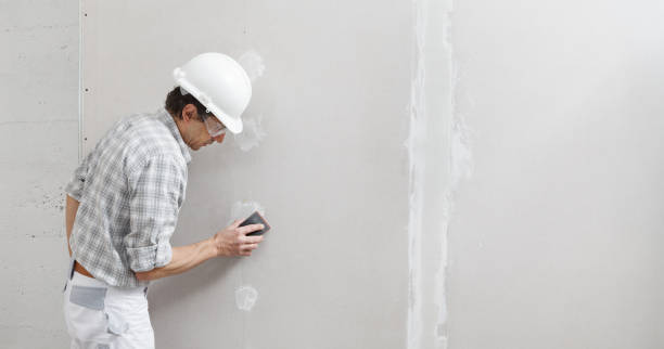Best Mold Remediation for Healthcare Facilities  in Mallory, WV