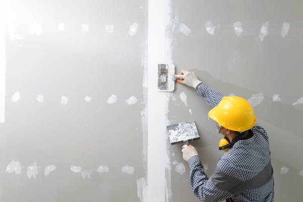 Best Mold Odor Removal Services  in Mallory, WV