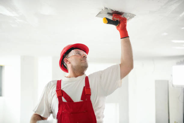 Best Asbestos and Lead Testing During Mold Inspection  in Mallory, WV