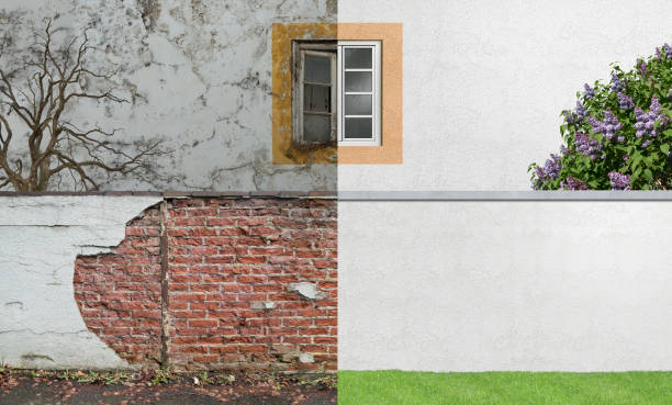 Best Mold Damage Restoration  in Mallory, WV