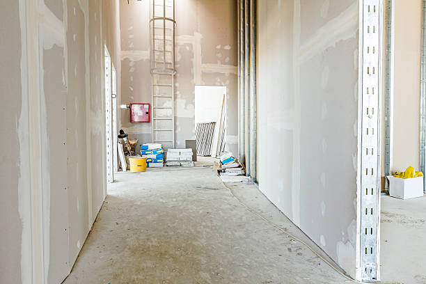 Best Biohazard Mold Removal  in Mallory, WV